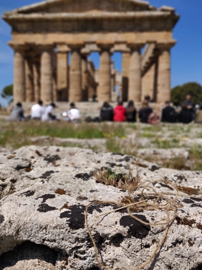 Italie 08 mai 2019 : Paestum – Herculanum post thumbnail image